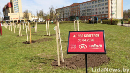 У Лідзе з'явілася алея блогераў