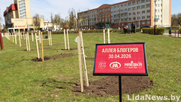 У Лідзе з'явілася алея блогераў