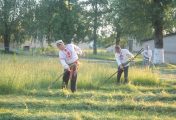 "Ідуць касцы, звіняць іх косы, вітаюць іх буйныя росы…"