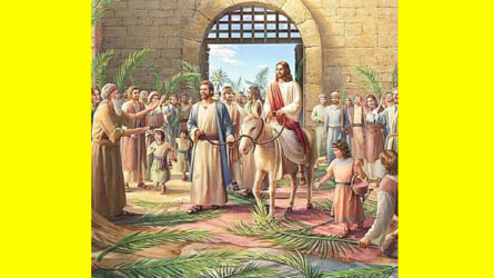 Вербная нядзеля