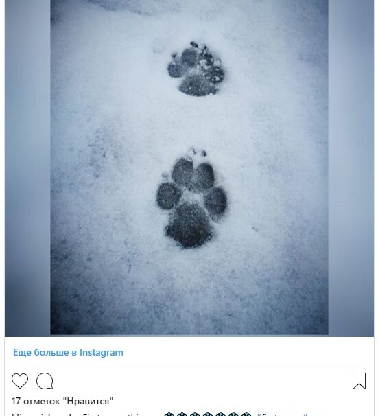 Першы снег у Менску