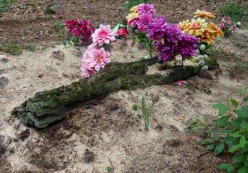 Рэзалі казла, выглядалі душы праз хамут і ратаваліся ад зомбі. Узгадваем, як спраўлялі Дзяды нашыя продкі