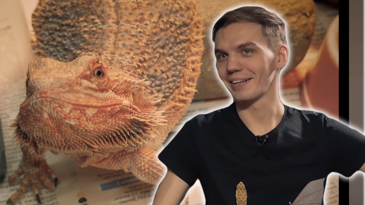 МОВА НАНОВА: Экзатычныя істоты і дзе іх адшукаць